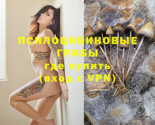 стафф Армянск